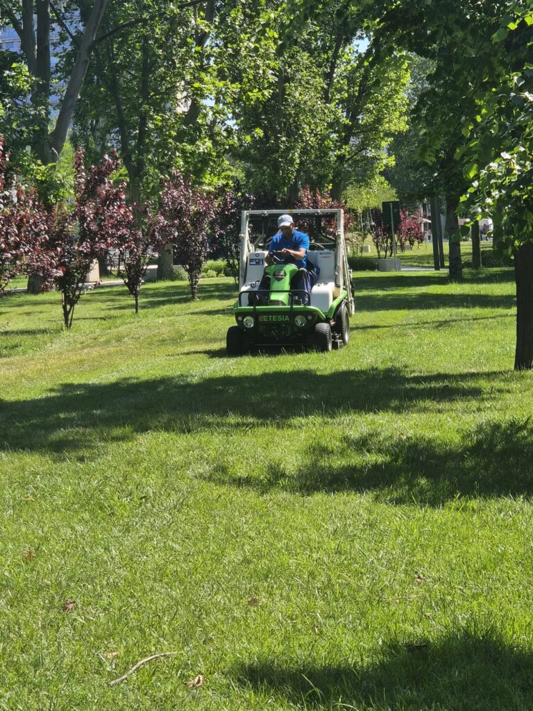 Continuă lucrările de întreținere a spațiilor verzi din municipiul Constanța